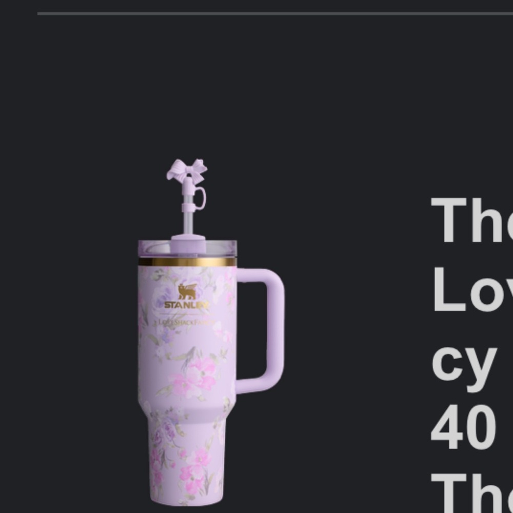 Stanley x Love Shack Fancy